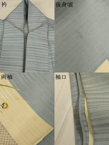 平和屋着物*夏物 男性 訪問着 絽 友禅 蛍 銀彩 キングサイズ 正絹 逸品 AABI4689jd
