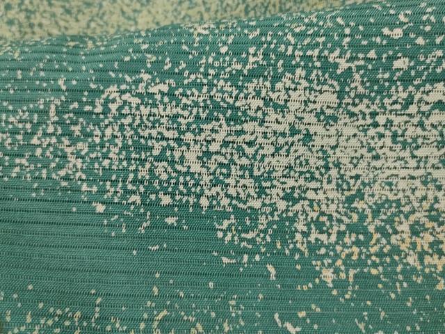 平和屋着物*夏物 訪問着 絽 霞文 さが美扱い 正絹 逸品 AABI4717jd