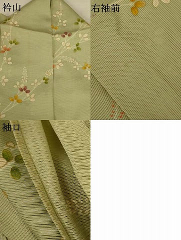 平和屋着物*夏物 小紋 絽 萩文 金彩 正絹 逸品 AABI4745jd