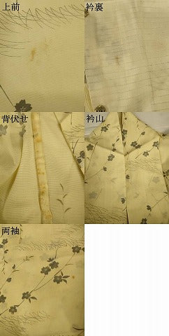 平和屋着物*夏物 小紋 絽 草花文 正絹 逸品 AABI4767jd