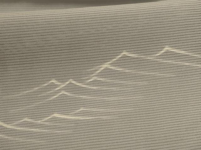 平和屋着物*夏物 小紋 絽 手描き 立波文 銀彩 正絹 逸品 AABI4774jd