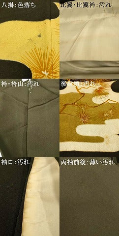 平和屋着物■豪華黒留袖 駒刺繍 鳳凰松文 金銀彩 金糸 正絹 逸品 AABI6023fw