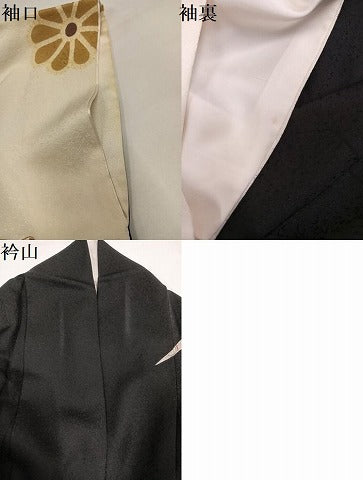 平和屋着物●訪問着 草花文 暈し染め 黒地 金彩 正絹 逸品 AABI6265ph