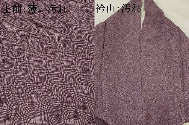 平和屋着物■江戸小紋 鮫小紋柄 正絹 逸品 AABI6383st