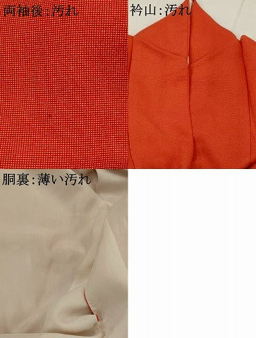 平和屋着物■江戸小紋 行儀 正絹 逸品 AABI6415st