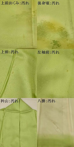 平和屋着物■豪華色留袖 枝葉文 暈し染め 正絹 逸品 AABI6531st