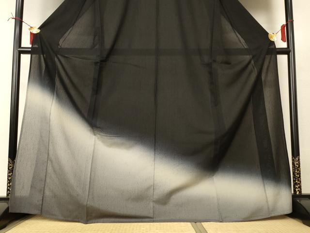 平和屋着物*夏物 訪問着 紗 霞文 ロング丈 正絹 逸品 AABI6674jd