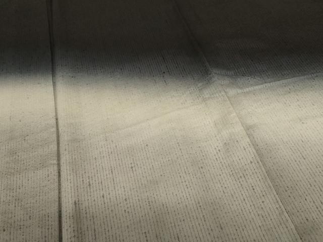 平和屋着物*夏物 訪問着 紗 霞文 ロング丈 正絹 逸品 AABI6674jd