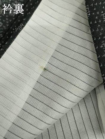 平和屋着物▽本塩沢 単衣 110亀甲 黒地 正絹 逸品 未使用 AABI7187cs
