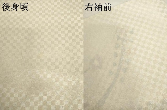 平和屋着物▽訪問着 単衣 手描き 花鳥文 金通し地 正絹 逸品 AABI7227cs