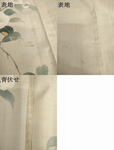 平和屋着物▽生紬 訪問着 単衣 友禅 枝花文 正絹 逸品 AABI7229cs