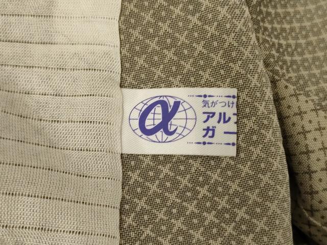 平和屋着物*夏物 お召 疋田文様 正絹 逸品 AABI7811jd