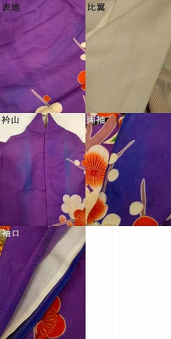 平和屋着物*夏物 振袖 絽 駒刺繍 御所車梅文 金彩 正絹 逸品 AABI7831jd