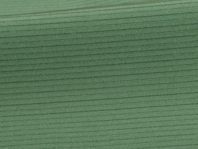 平和屋着物*夏物 色無地 絽 老竹色 正絹 逸品 未使用 AABI7901jd