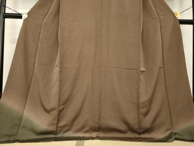 平和屋着物●訪問着 箔散らし文様 暈し染め 金彩 ロング丈 正絹 逸品 AABI7971ck