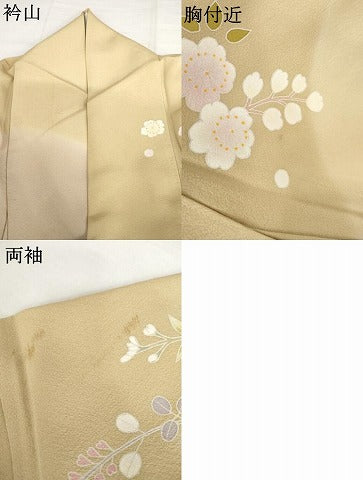 平和屋着物▽訪問着 単衣 友禅 花鼓文 枝梅 暈し染め 金銀彩 正絹 逸品 AABI8049cs