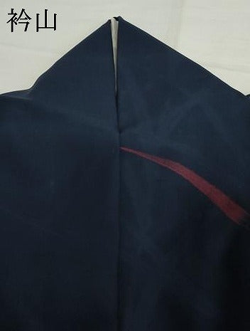 平和屋着物*夏物 小紋 枝葉紋紗 正絹 逸品 AABI8113cs