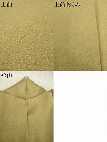 平和屋着物●江戸小紋 草木染 鮫小紋柄 正絹 逸品 AABI8177ck