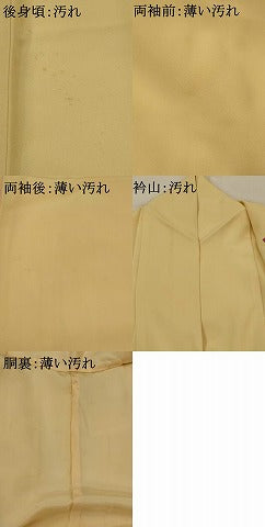 平和屋着物■訪問着 友禅 草花文 正絹 逸品 AABI8259st