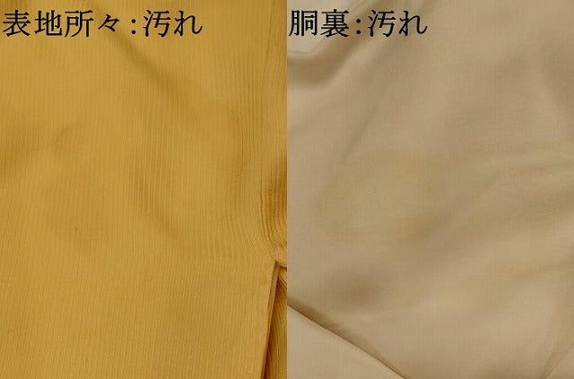 平和屋着物■訪問着 亀甲花蝶文 正絹 逸品 AABI8294st