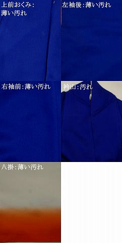平和屋着物■訪問着 流水花文 金彩 正絹 逸品 AABI8305st