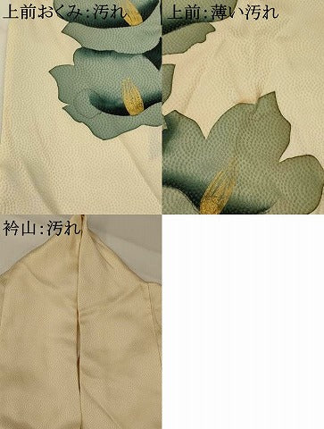 平和屋着物■訪問着 舞花文 金彩 正絹 逸品 AABI8309st