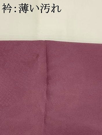 平和屋着物■上質な色無地 草花地紋 京紫色 正絹 逸品 AABI8310st