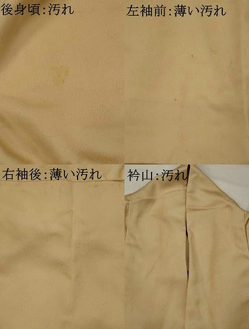 平和屋着物■豪華色留袖 駒刺繍 流水地紙花松文 金彩 正絹 逸品 AABI8315st
