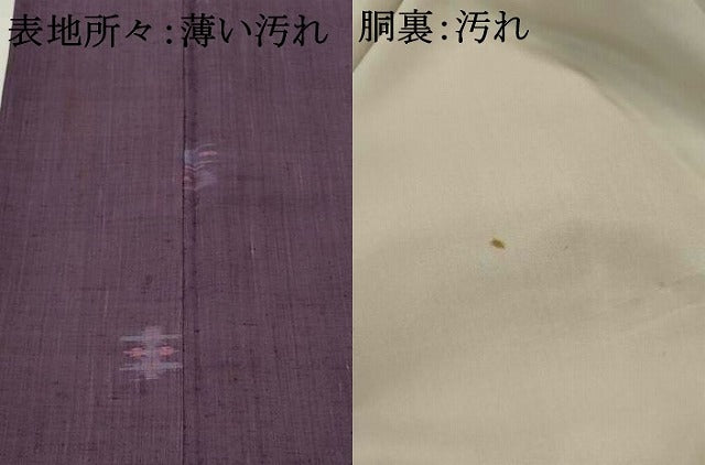 平和屋着物■上質な紬 琉球絣文様 正絹 逸品 AABI8319st