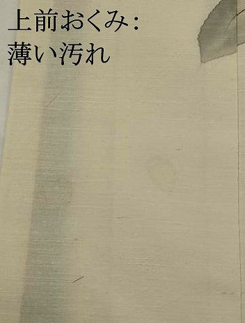 平和屋着物■訪問着 紬地 手描き 草花文 金彩 正絹 逸品 AABI8321st