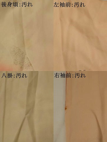 平和屋着物■訪問着 風景花文 暈し染め 金彩 正絹 逸品 AABI8381st