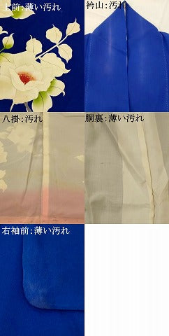 平和屋着物■訪問着 枝花文 正絹 逸品 AABI8418st