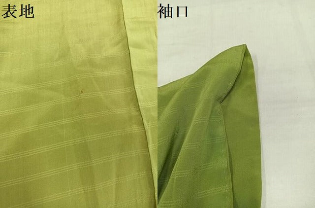 平和屋着物●アンティーク 大正ロマン 色留訪問着 草花文 暈し染め 金彩 正絹 逸品 AABI8516ph
