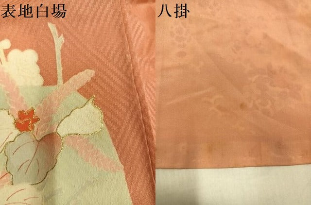 平和屋着物●アンティーク 大正ロマン 訪問着 草花文 金彩 正絹 逸品 AABI8601ph