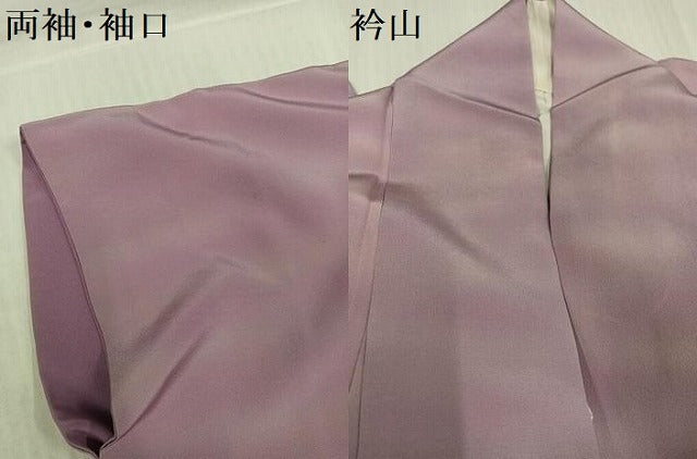 平和屋着物▼虹色創家 本郷大田子 小紋 大田子染 霞文 大丸扱い 正絹 逸品 AABI8620ph