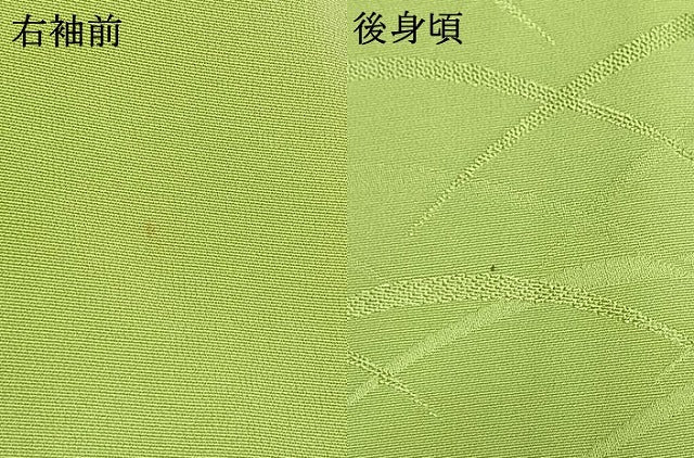 平和屋着物●上質な色無地 芝地紋 若菜色 正絹 逸品 AABI9084fy
