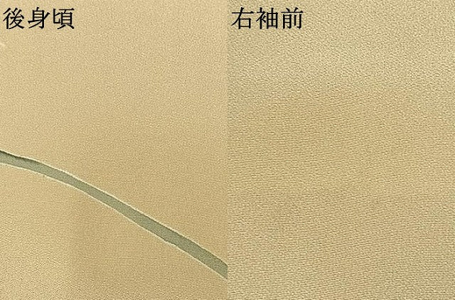 平和屋着物●訪問着 友禅 枝花文 正絹 逸品 AABI9129fy