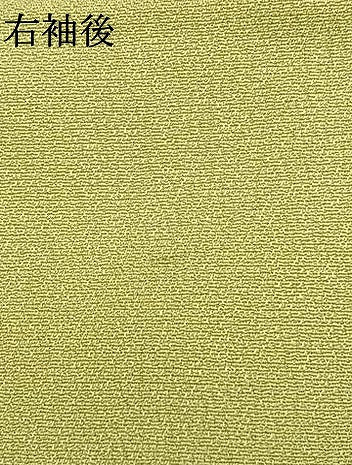 平和屋着物●訪問着 駒刺繍 草花文 暈し染め 金彩 正絹 逸品 AABI9290fy