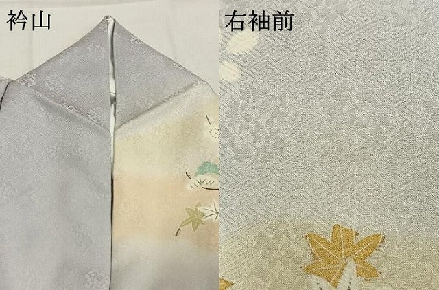 平和屋着物●訪問着 駒刺繍 草花文 暈し染め 金彩 ロング丈 正絹 逸品 AABI9415fy