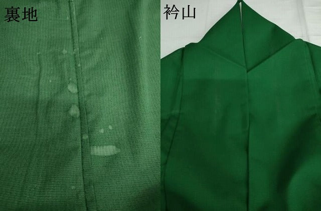 平和屋着物*夏物 訪問着 絽 芝花文 金彩 洗える着物 AABI9753cs
