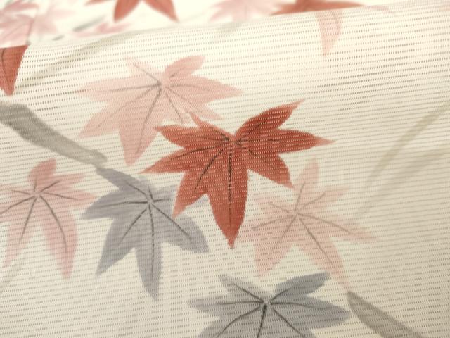 平和屋着物*夏物 訪問着 絽 手描き 楓文 正絹 逸品 AABI9795cs