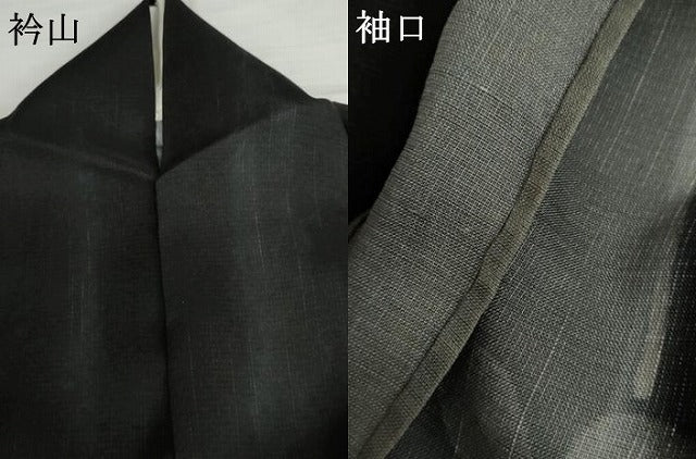 平和屋着物*夏物 訪問着 紗紬 枝葉文 黒地 金彩 正絹 逸品 AABI9822cs