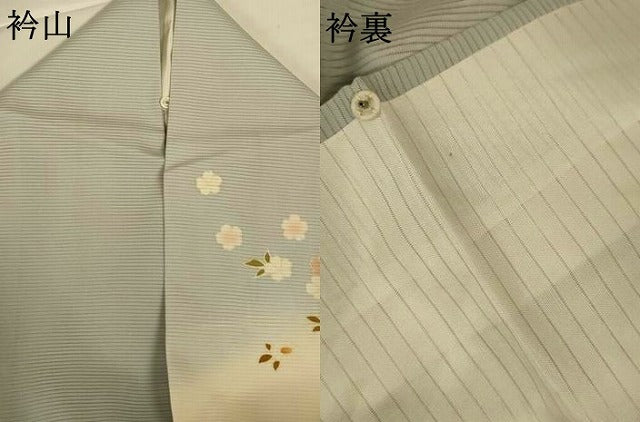 平和屋着物*夏物 訪問着 絽 風景草花文 暈し染め 金彩 正絹 逸品 AABI9916jd