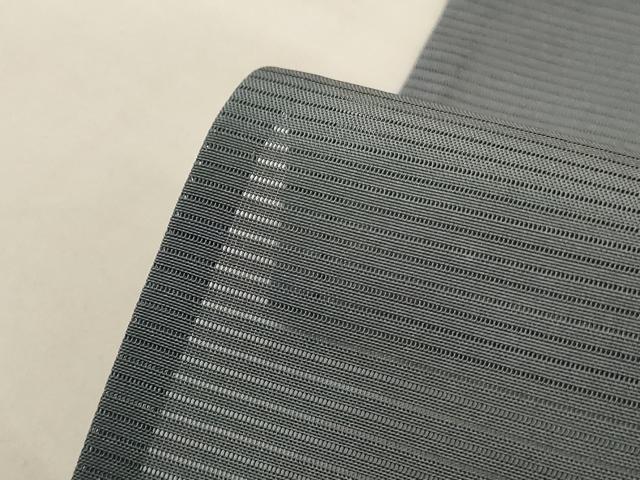 平和屋着物*夏物 虹色創家 本郷大田子 小紋 絽 霞文 暈し染め ロング丈 正絹 逸品 AABI9996jd
