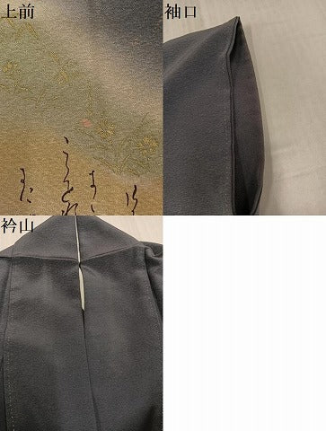 平和屋着物●友禅作家 河野栖山 訪問着 女人楽器文 暈し染め 金彩 正絹 逸品 AABJ0083ph