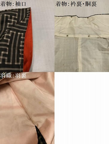 平和屋着物●本場大島紬 龍郷絣 秋名バラ アンサンブル 正絹 逸品 AABJ0147ph