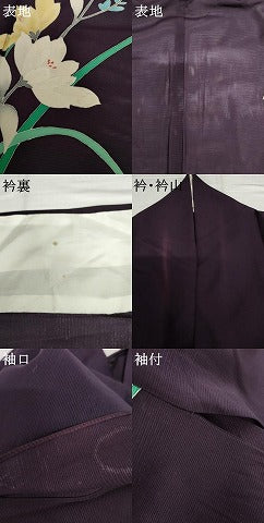 平和屋着物*夏物 訪問着 絽 友禅 枝花文 正絹 逸品 AABJ0879cs