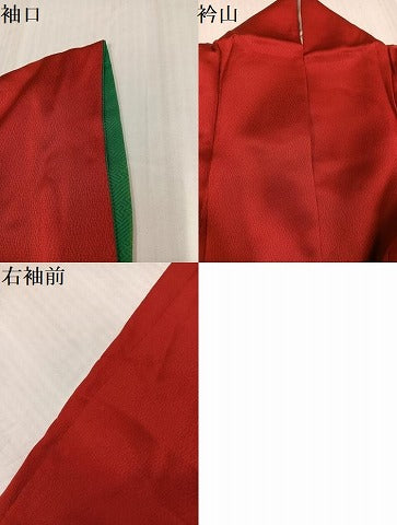 平和屋着物●豪華振袖 舞蝶文 暈し染め 金銀彩 正絹 逸品 AABJ1399ph