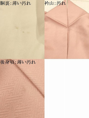 平和屋着物■訪問着 流水鴛鴦花文 暈し染め 金銀彩 正絹 逸品 AABJ1878sx