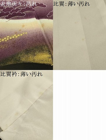 平和屋着物■豪華黒留袖 風景文 暈し染め 金彩 正絹 逸品 AABJ1900sx